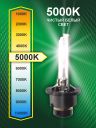 D2S 35W P32d-2 5000K 85V Bright Firefly