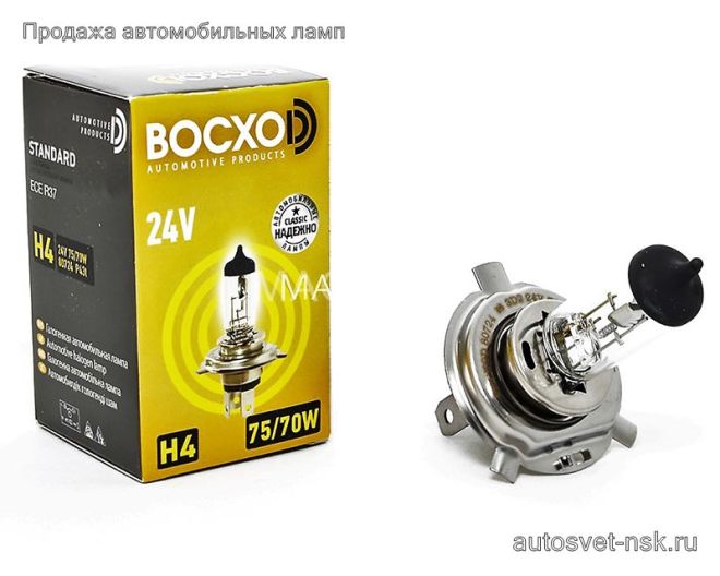 BOCXOD H4 24v-75/70w P43t