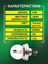 R2 24v-55/50w P45t Standard (2шт.) Bright Firefly