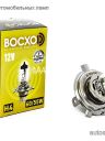BOCXOD H4 12v-60/55w P43t