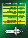 H19 12v-60/55w PU43t-3 Standard (2шт.) Bright Firefly
