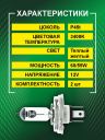 H4 12v-60/55w P45t Standard (2шт.) Bright Firefly