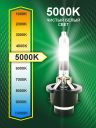 D2R 35W P32d-3 5000K 85V Bright Firefly