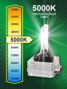 D1S 35W PK32d-2 5000K 85V Bright Firefly