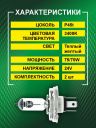 H4 24v-75/70w P45t Standard (2шт.) Bright Firefly
