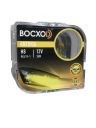 BOCXOD H8 12v-35w PGJ19 AF (Anti FOG 3000k) (2шт.)